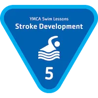 Stroke Development